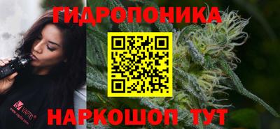 спайс Будённовск