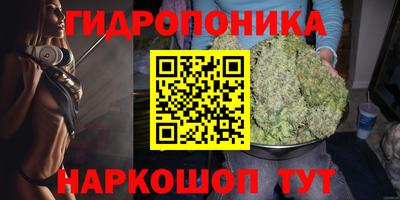 крисы Бугуруслан