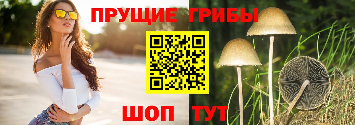 Псилоцибиновые грибы мицелий  Вход с VPN  Снежинск  Псилоцибиновые грибы Psilocybe 